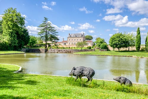 balade du côté de l'étang