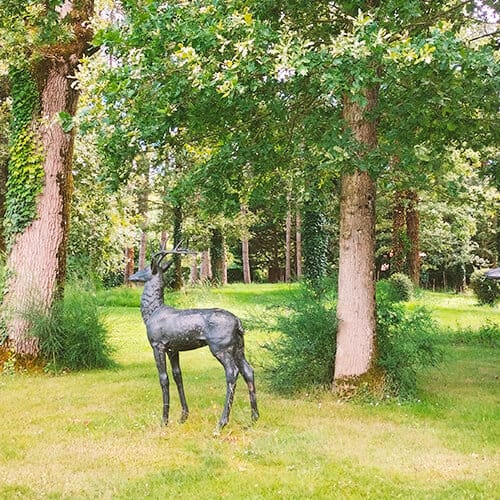 La biche sous les arbres
